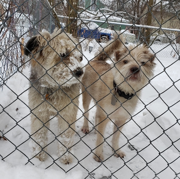 Meet your Posher, Michelle - Picture 2 of 2